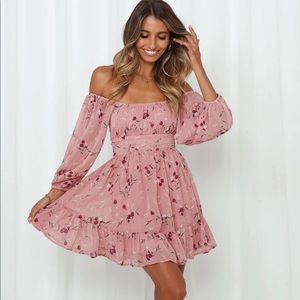 Hello Molly Night Garden Dress Rose